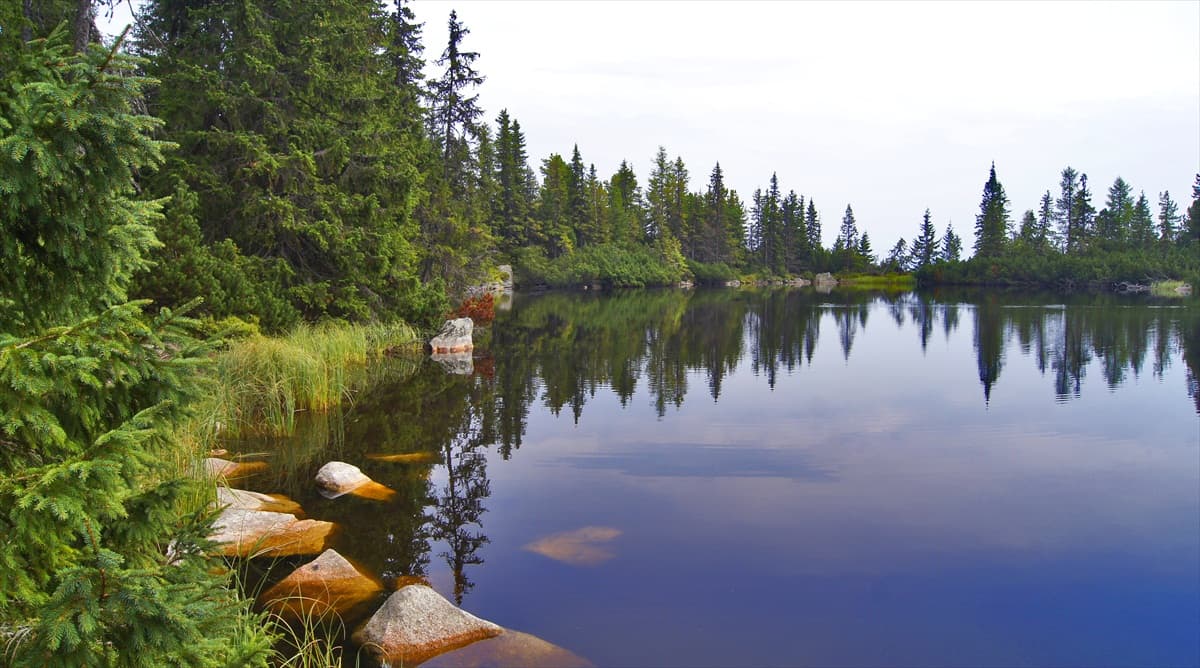 Jamské pleso