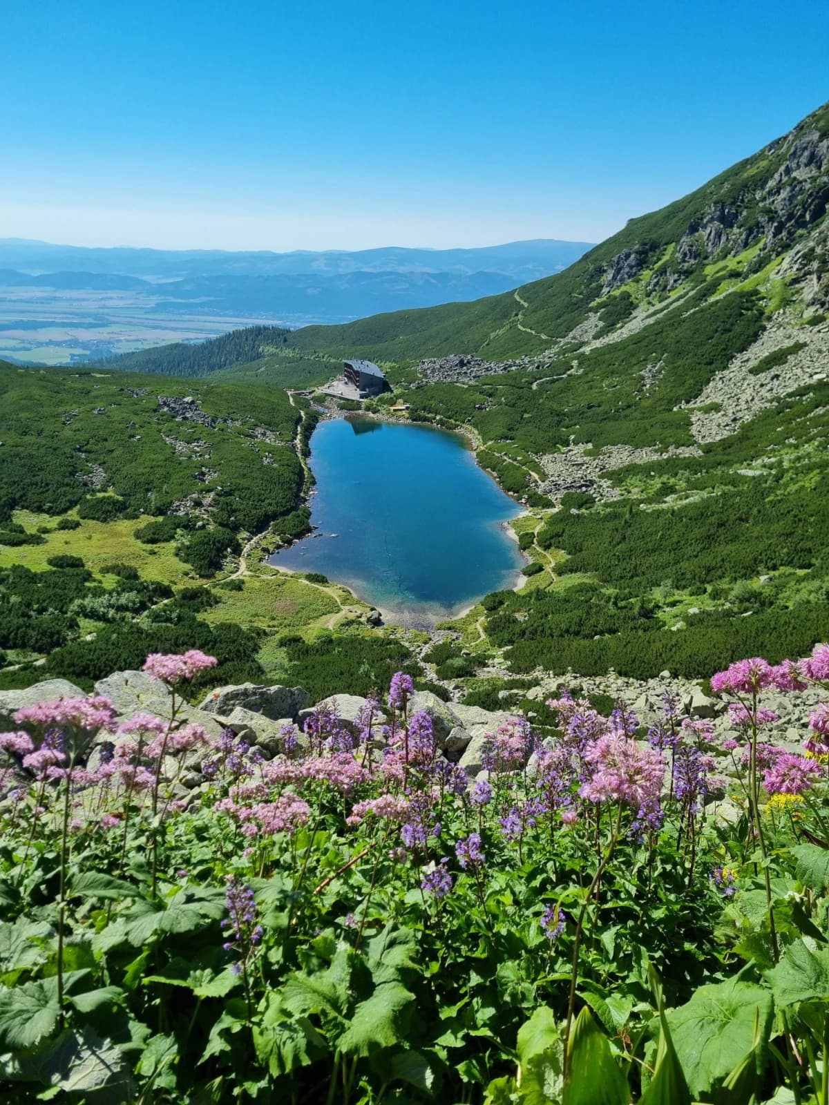 Velické pleso