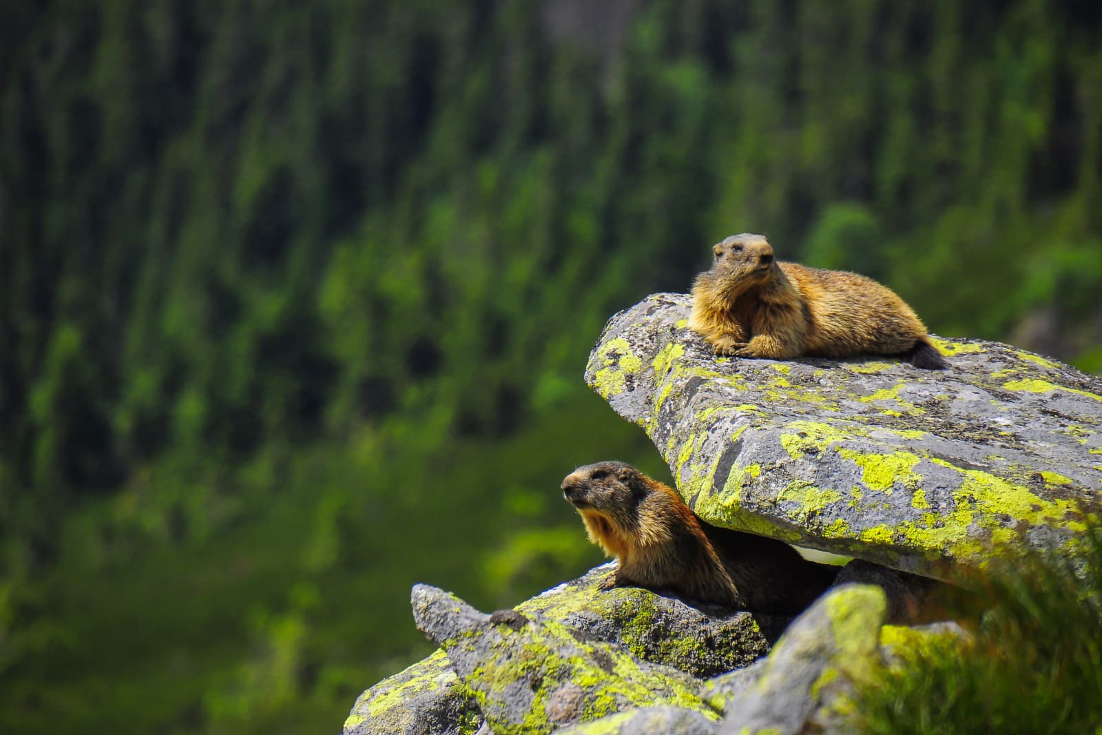 https://aplend.hotelion.sk/admin/data/object/539_shutterstock1109229929.jpg