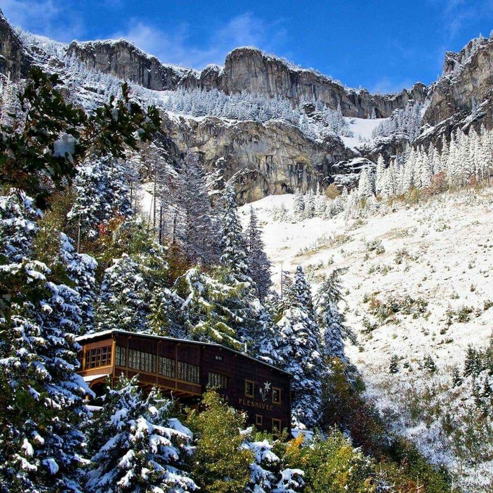Chalet - Plesnivec
