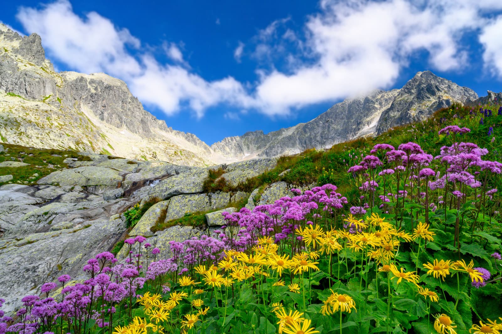 https://aplend.hotelion.sk/admin/data/object/705_shutterstock1806241015.jpg